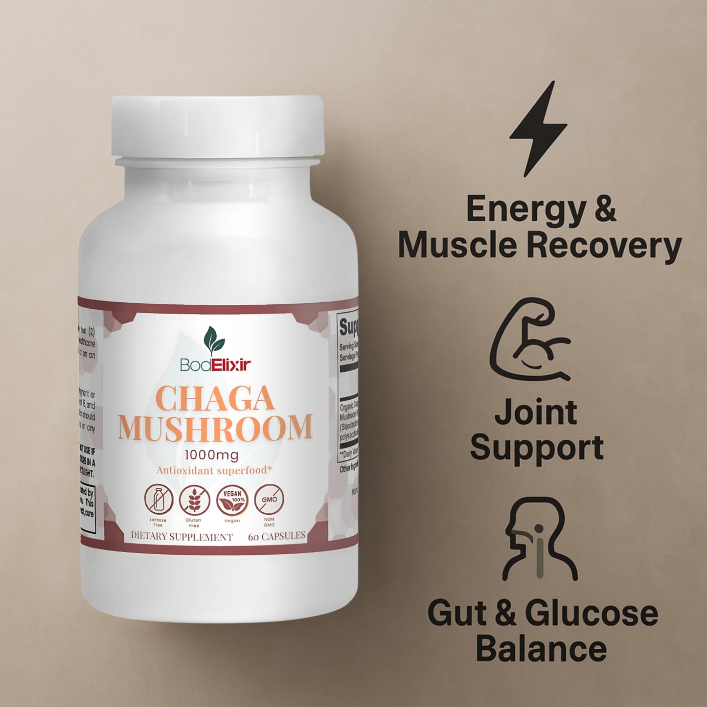 Chaga Mushroom