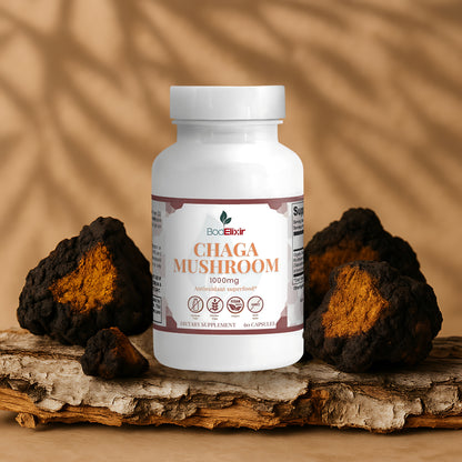 Chaga Mushroom